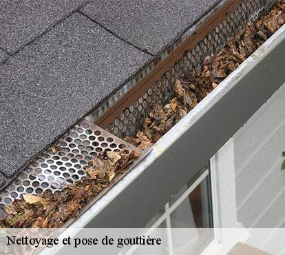 Nettoyage et pose de gouttière