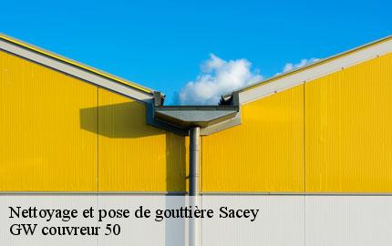 Nettoyage et pose de gouttière sacey-50170 GW couvreur 50