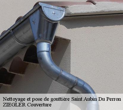 Nettoyage et pose de gouttière  saint-aubin-du-perron-50490 ZIEGLER Couverture 