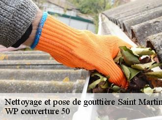 Nettoyage et pose de gouttière  saint-martin-le-greard-50690 Artisan Debard DM Habitat