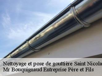 Nettoyage et pose de gouttière saint-nicolas-de-pierrepont-50250 Mr Bouquignaud Entreprise Père et Fils