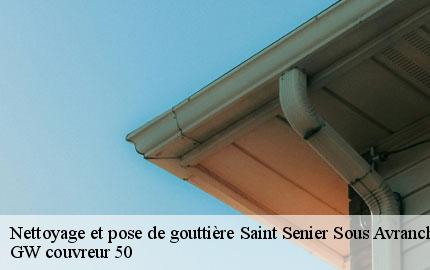 Nettoyage et pose de gouttière saint-senier-sous-avranches-50300 GW couvreur 50