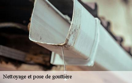 Nettoyage et pose de gouttière sainte-suzanne-sur-vire-50750 GW couvreur 50