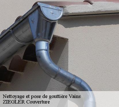 Nettoyage et pose de gouttière  vains-50300 ZIEGLER Couverture