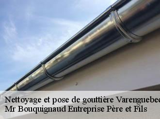 Nettoyage et pose de gouttière varenguebec-50250 Mr Bouquignaud Entreprise Père et Fils