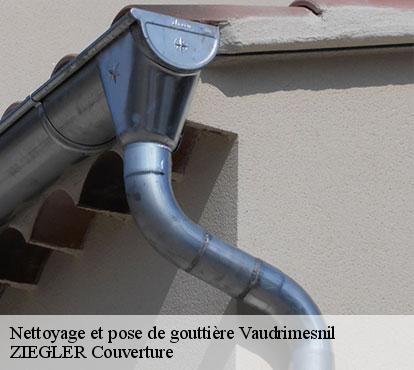 Nettoyage et pose de gouttière  vaudrimesnil-50490 ZIEGLER Couverture