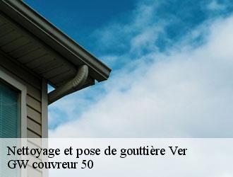 Nettoyage et pose de gouttière  ver-50450 GW couvreur 50
