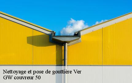 Nettoyage et pose de gouttière  ver-50450 GW couvreur 50