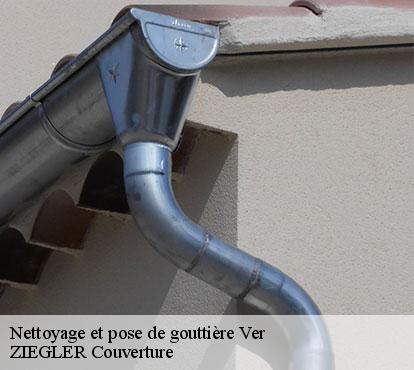 Nettoyage et pose de gouttière ver-50450 ZIEGLER Couverture