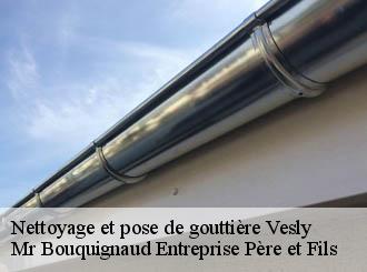 Nettoyage et pose de gouttière vesly-50430 Mr Bouquignaud Entreprise Père et Fils