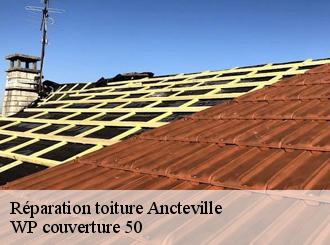 Réparation toiture  ancteville-50200 WP couverture 50