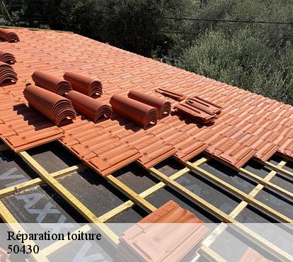Réparation toiture  50430