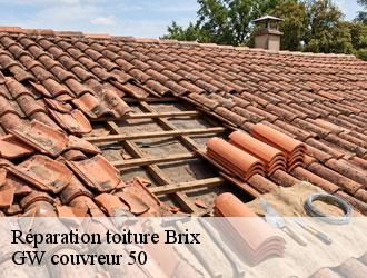 Réparation toiture  brix-50700 GW couvreur 50