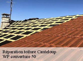 Réparation toiture  canteloup-50330 WP couverture 50