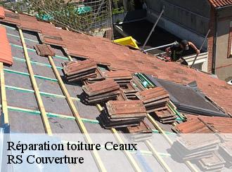 Réparation toiture ceaux-50220 RS Couverture
