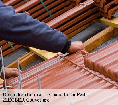 Réparation toiture  la-chapelle-du-fest-50160 ZIEGLER Couverture 