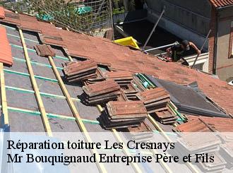 Réparation toiture les-cresnays-50370 Mr Bouquignaud Entreprise Père et Fils