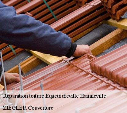Réparation toiture  equeurdreville-hainneville-50120 ZIEGLER Couverture 