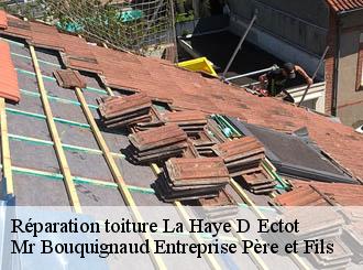Réparation toiture la-haye-d-ectot-50270 Mr Bouquignaud Entreprise Père et Fils