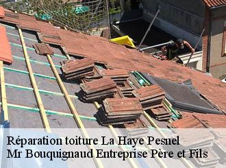 Réparation toiture la-haye-pesnel-50320 Mr Bouquignaud Entreprise Père et Fils