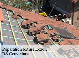 Réparation toiture lozon-50570 RS Couverture