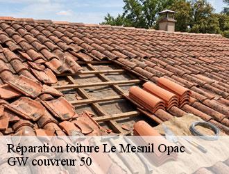 Réparation toiture le-mesnil-opac-50860 GW couvreur 50