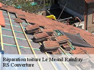 Réparation toiture  le-mesnil-rainfray-50520 RS Couverture 