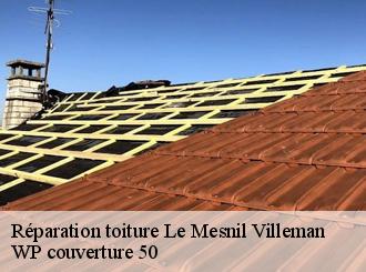 Réparation toiture  le-mesnil-villeman-50450 WP couverture 50