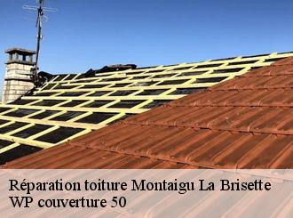 Réparation toiture  montaigu-la-brisette-50700 WP couverture 50