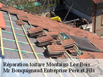 Réparation toiture montaigu-les-bois-50450 Mr Bouquignaud Entreprise Père et Fils