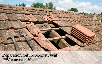 Réparation toiture montsurvent-50200 GW couvreur 50
