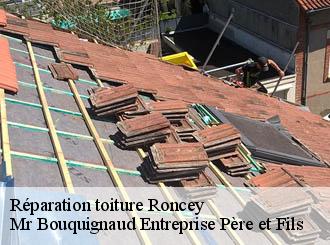 Réparation toiture roncey-50210 Mr Bouquignaud Entreprise Père et Fils