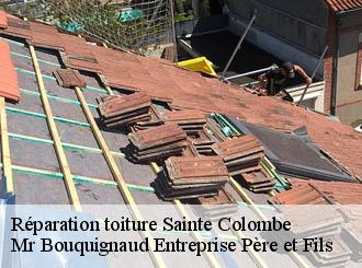 Réparation toiture sainte-colombe-50390 Mr Bouquignaud Entreprise Père et Fils