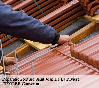 Réparation toiture  saint-jean-de-la-riviere-50270 ZIEGLER Couverture