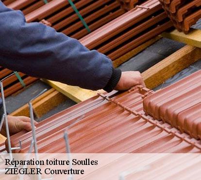 Réparation toiture  soulles-50750 ZIEGLER Couverture 