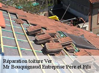 Réparation toiture ver-50450 Mr Bouquignaud Entreprise Père et Fils