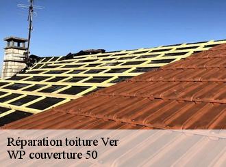 Réparation toiture  ver-50450 WP couverture 50