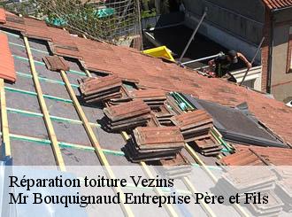 Réparation toiture vezins-50540 Mr Bouquignaud Entreprise Père et Fils