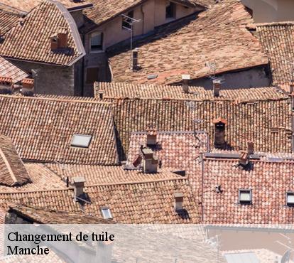 Changement de tuila manche