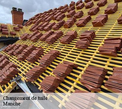 Changement de tuila manche 