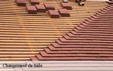 Changement de tuile  airel-50680 GW couvreur 50