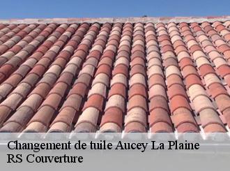 Changement de tuile aucey-la-plaine-50170 RS Couverture