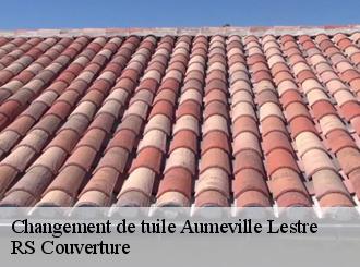 Changement de tuile aumeville-lestre-50630 RS Couverture