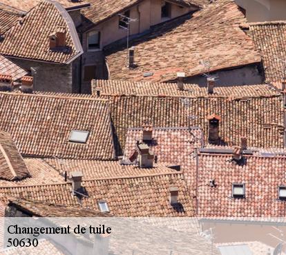 Changement de tuile 50630