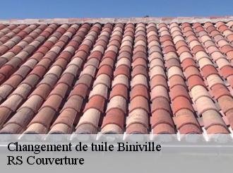 Changement de tuile  biniville-50390 RS Couverture 