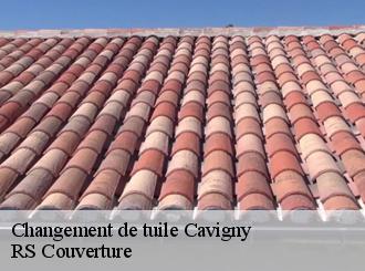 Changement de tuile cavigny-50620 RS Couverture