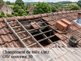 Changement de tuile catz-50500 GW couvreur 50