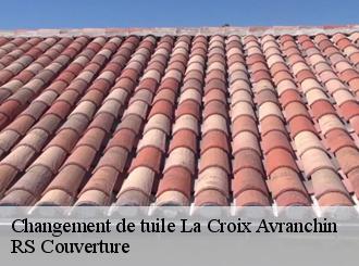 Changement de tuile la-croix-avranchin-50240 RS Couverture