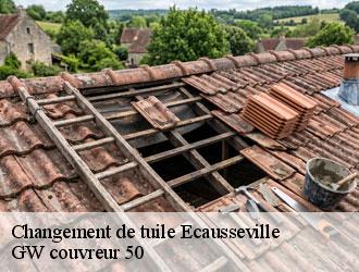 Changement de tuile ecausseville-50310 GW couvreur 50