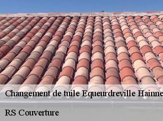 Changement de tuile equeurdreville-hainneville-50120 RS Couverture